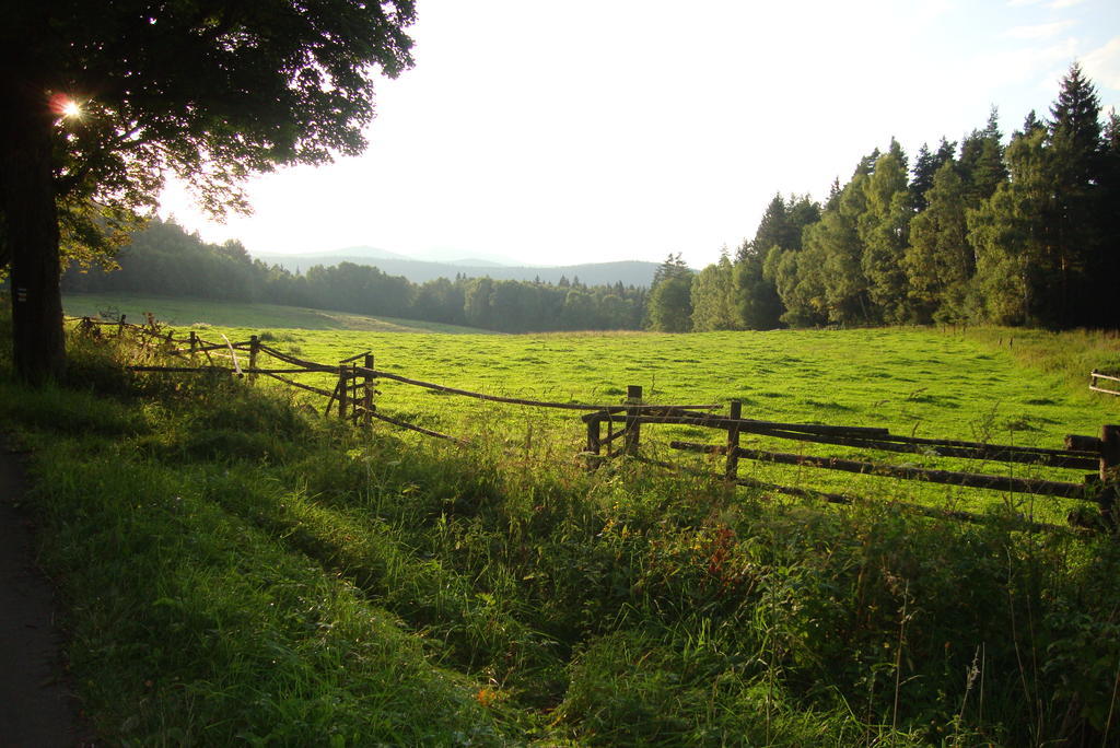 Penzion Farma Zleby Ceske Zleby Exterior photo